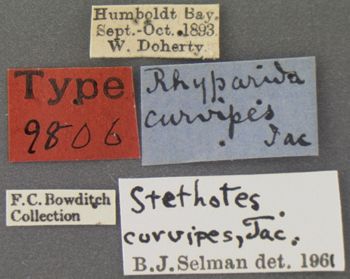 Media type: image; Entomology 9806   Aspect: labels